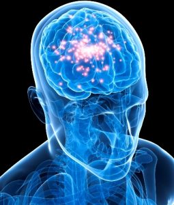 rapping-brain-activity-255x300 rapping-brain-activity-255x300